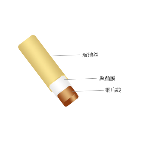 玻璃絲包聚酯膜包銅扁（圓）線